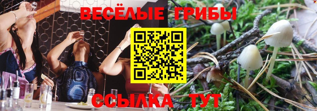 продажа наркотиков  Галлюциногенные грибы Cubensis  Псилоцибиновые грибы MAGIC MUSHROOMS  Вход с VPN  Сертолово 